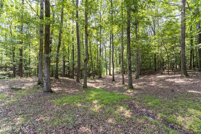 108 Western Trl, Carthage, NC 28327 - view of wooded area