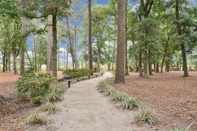 3350 Club Villas Dr # 105, Southport, NC 28461 - view of community