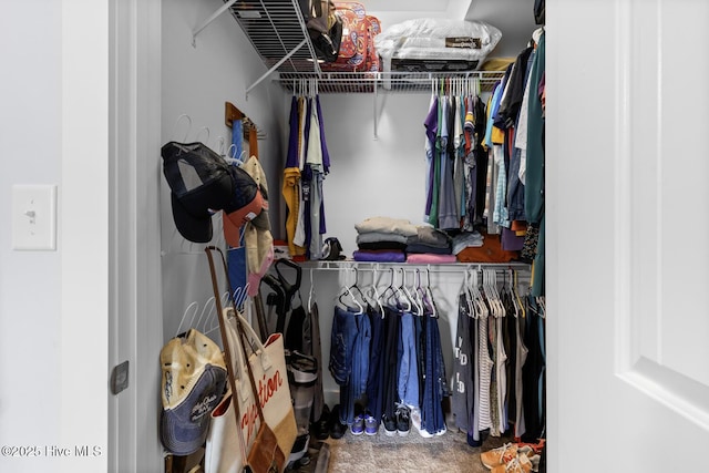 452 Crows Nest Ln, Sneads Ferry, NC 28460 - spacious closet featuring carpet flooring