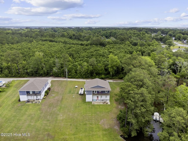 452 Crows Nest Ln, Sneads Ferry, NC 28460 - view of subject property with a heavily wooded area