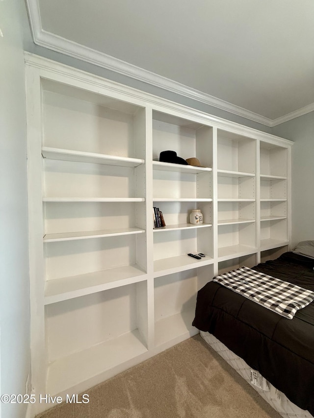 5934 NC-42, Macclesfield, NC 27852 - unfurnished bedroom with crown molding and carpet floors