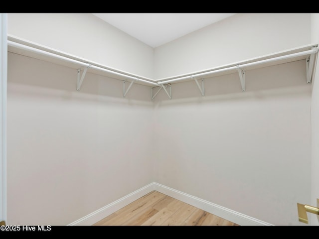109 Inlet Ct, Hampstead, NC 28443 - walk in closet featuring light wood finished floors