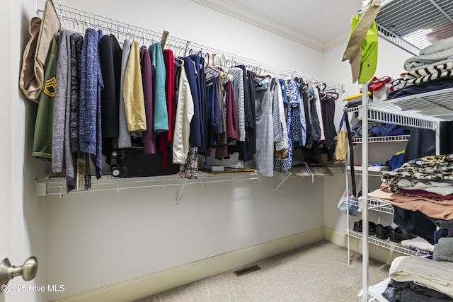 209 Georgia Ave, Carolina Beach, NC 28428 - spacious closet with carpet