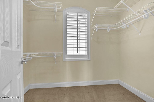 205 S Grist Mill Rd, Hampstead, NC 28443 - spacious closet with carpet flooring