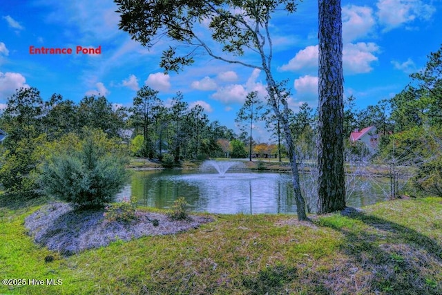 205 S Grist Mill Rd, Hampstead, NC 28443 - water view