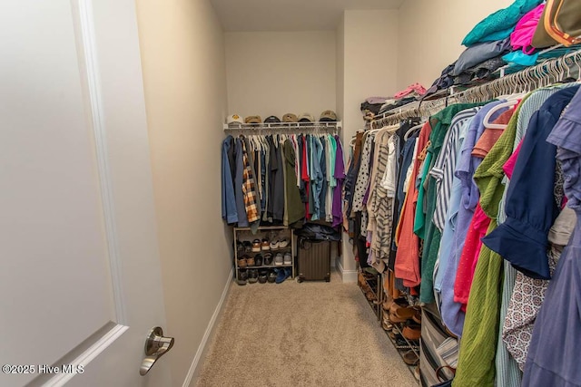 873 Bourne Dr SW, Ocean Isle Beach, NC 28469 - walk in closet with carpet floors