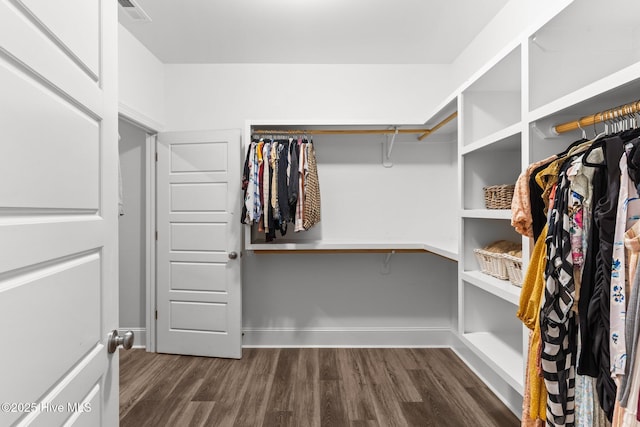 386 Yucca Ln, Wilmington, NC 28412 - walk in closet with dark wood finished floors
