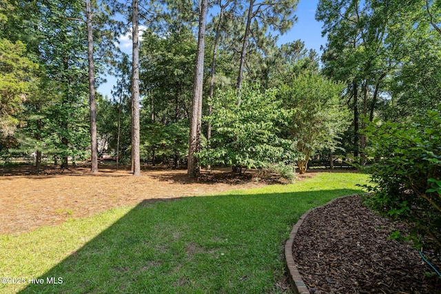 103 Sandspur Ln, West End, NC 27376 - view of green lawn