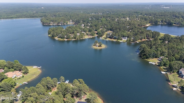 103 Sandspur Ln, West End, NC 27376 - aerial view of property and surrounding area with a forest and a nearby body of water