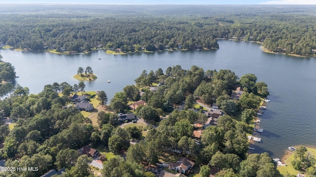 103 Sandspur Ln, West End, NC 27376 - aerial view of property's location with a heavily wooded area and a nearby body of water