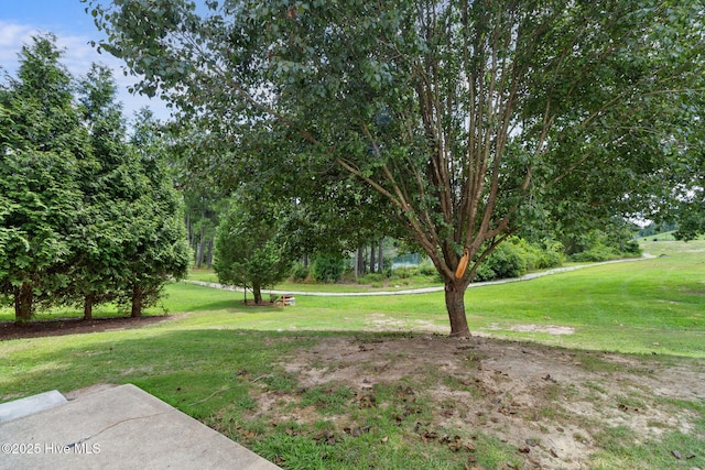 40 Sedgefield Ln, Spring Lake, NC 28390 - view of grassy yard