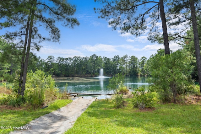 40 Sedgefield Ln, Spring Lake, NC 28390 - water view featuring a heavily wooded area