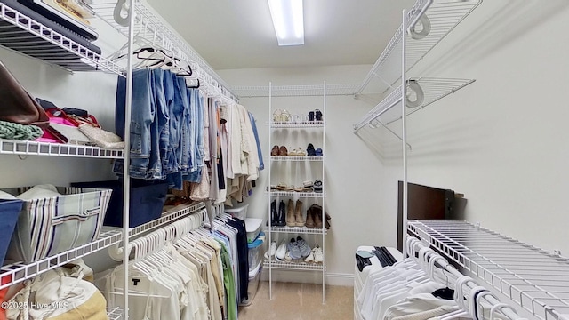 2019 Royal Pines Dr, New Bern, NC 28560 - walk in closet featuring carpet floors