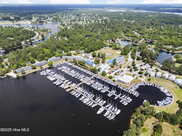 2019 Royal Pines Dr, New Bern, NC 28560 - aerial view of a large body of water, numerous boat docks, and a forest