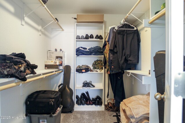 284 Old Swamp Rd, South Mills, NC 27976 - spacious closet featuring carpet floors