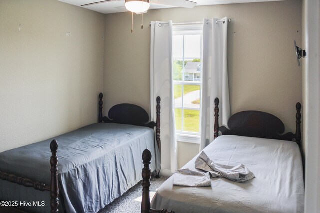 284 Old Swamp Rd, South Mills, NC 27976 - bedroom with a ceiling fan