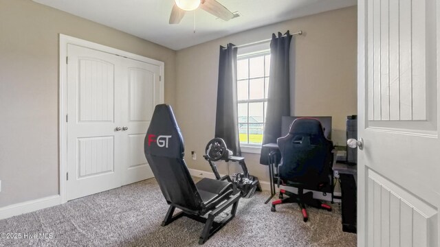 284 Old Swamp Rd, South Mills, NC 27976 - bedroom with multiple windows, carpet flooring, and a ceiling fan