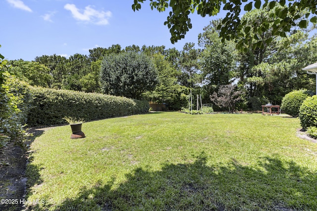 3863 Daphine Ct, Wilmington, NC 28409 - view of grassy yard
