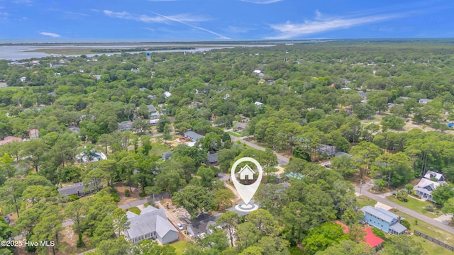 214 Frink Dr, Southport, NC 28461 - aerial view of property's location with a large body of water and a forest