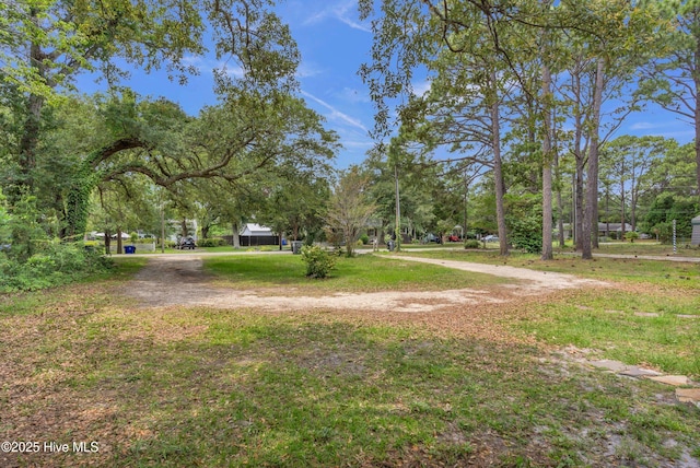 214 Frink Dr, Southport, NC 28461 - view of green lawn