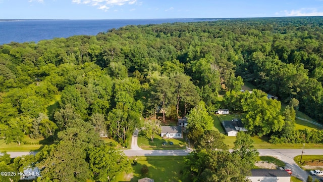 207 Battleground Ave, New Bern, NC 28560 - view of property location with a forest and a large body of water