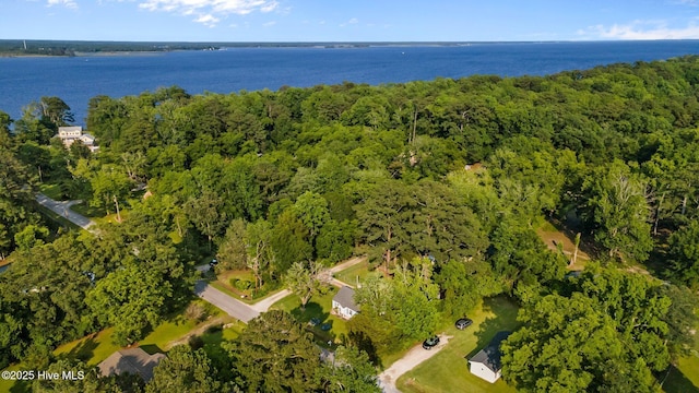207 Battleground Ave, New Bern, NC 28560 - aerial overview of property's location featuring a forest and a nearby body of water
