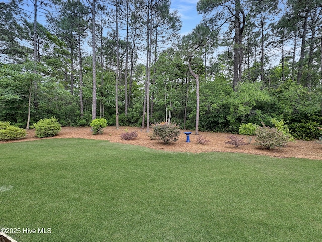 6003 Mount Carmel Parke, Wilmington, NC 28412 - view of green lawn