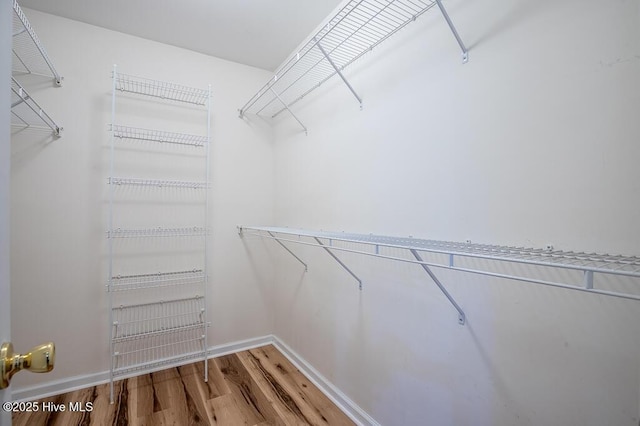 109 Hilda Dr, New Bern, NC 28562 - walk in closet with wood finished floors