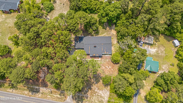 1103 Hylan Ave, Hamlet, NC 28345 - bird's eye view
