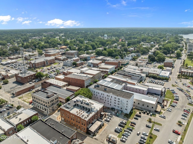 183 W Main St Unit 205, Washington, NC 27889 - bird's eye view
