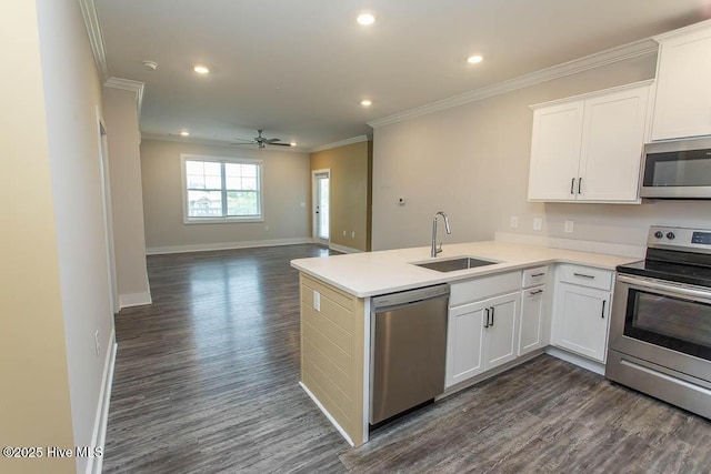 395 S Crow Creek Dr NW Unit 1615, Calabash, NC 28467 - kitchen with appliances with stainless steel finishes, a sink, ornamental molding, recessed lighting, and dark wood-style flooring
