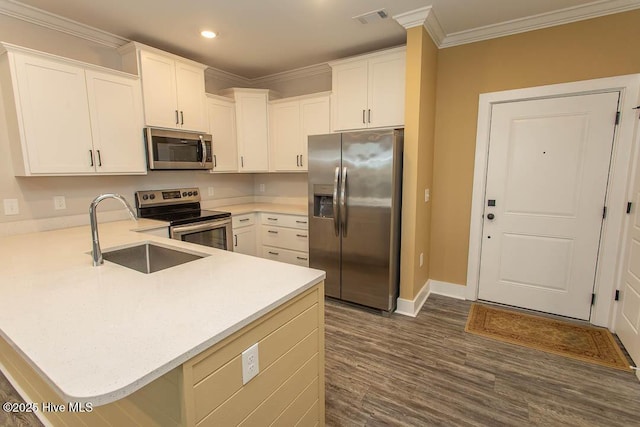 395 S Crow Creek Dr NW Unit 1615, Calabash, NC 28467 - kitchen with appliances with stainless steel finishes, a sink, a peninsula, light countertops, and ornamental molding
