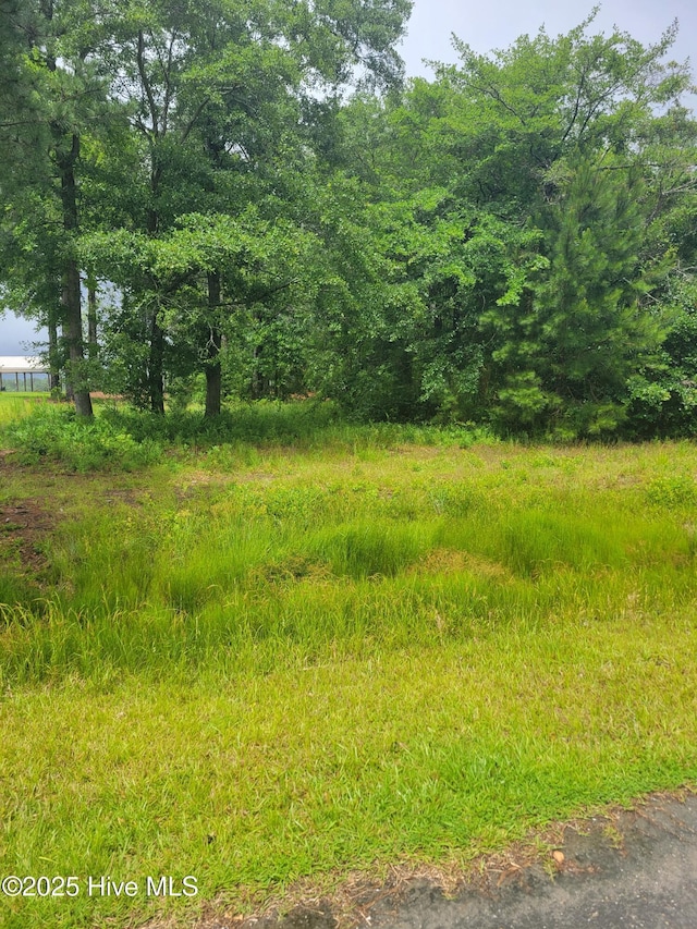 575 S Horsepen Dr Unit 575, Harrells, NC 28444