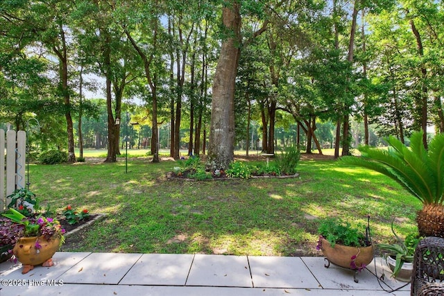 354 Sea Trail Dr E Unit 2, Sunset Beach, NC 28468 - view of green lawn