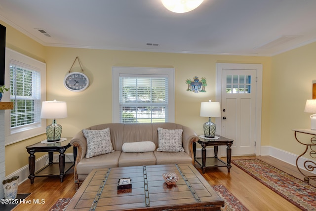 528 E 6th St, Washington, NC 27889 - living area with wood finished floors and crown molding