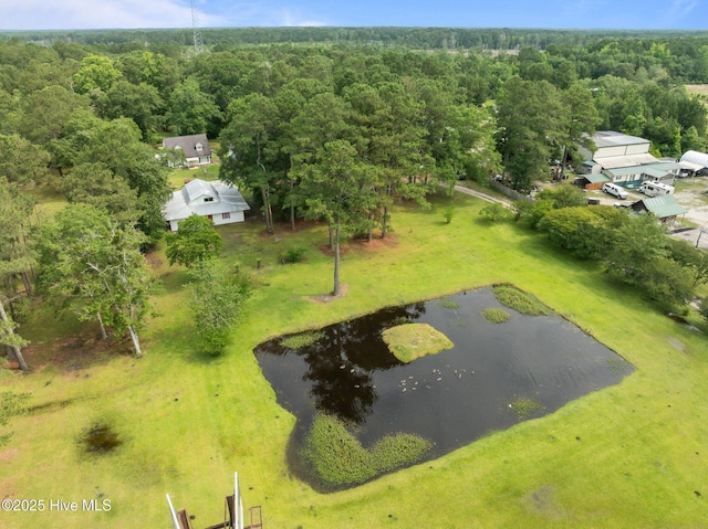 4967 E NC-24 Hwy, Beulaville, NC 28518 - drone / aerial view of a large body of water and a heavily wooded area