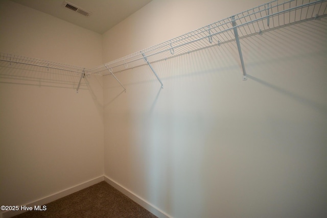 332 Starfish Ln, Sneads Ferry, NC 28460 - spacious closet with dark carpet