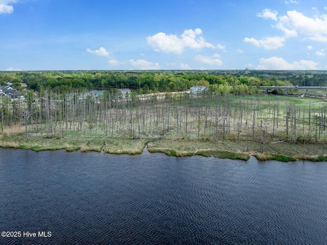2593 Alvernia Dr, Castle Hayne, NC 28429 - bird's eye view of a nearby body of water