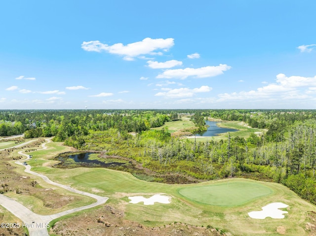 2968 Hatchers Run, Leland, NC 28451 - bird's eye view of a large body of water, a golf course, and a forest
