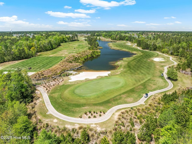 2968 Hatchers Run, Leland, NC 28451 - bird's eye view of a nearby body of water, a heavily wooded area, and a local golf course