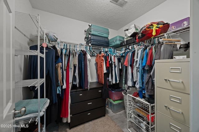 3106 John Willis Rd, New Bern, NC 28562 - spacious closet featuring wood finished floors