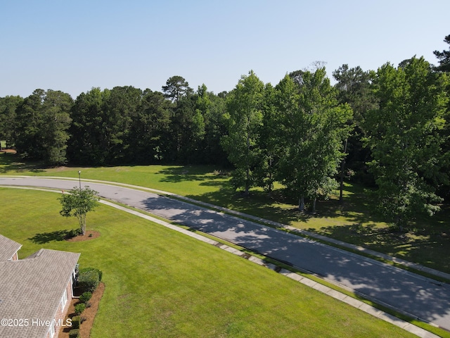 1335 Arbor Ridge Way, Leland, NC 28451 - view of road featuring curbs