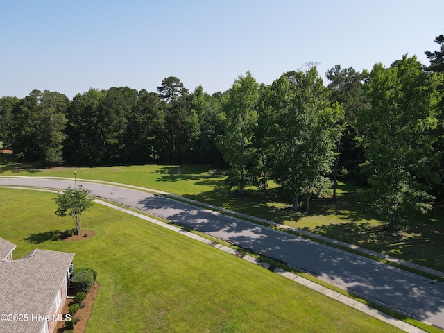 1335 Arbor Ridge Way, Leland, NC 28451 - view of street with curbs
