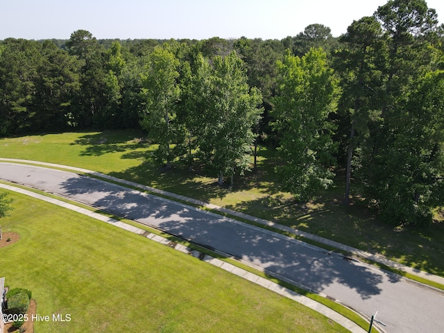 1335 Arbor Ridge Way, Leland, NC 28451 - aerial view