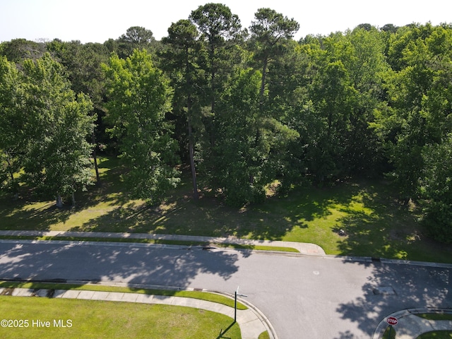 1335 Arbor Ridge Way, Leland, NC 28451 - drone / aerial view