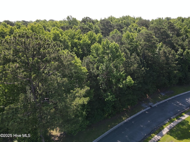 1335 Arbor Ridge Way, Leland, NC 28451 - view of asphalt street with a wooded view