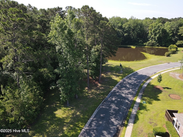 1335 Arbor Ridge Way, Leland, NC 28451 - aerial overview of property's location with a nearby body of water