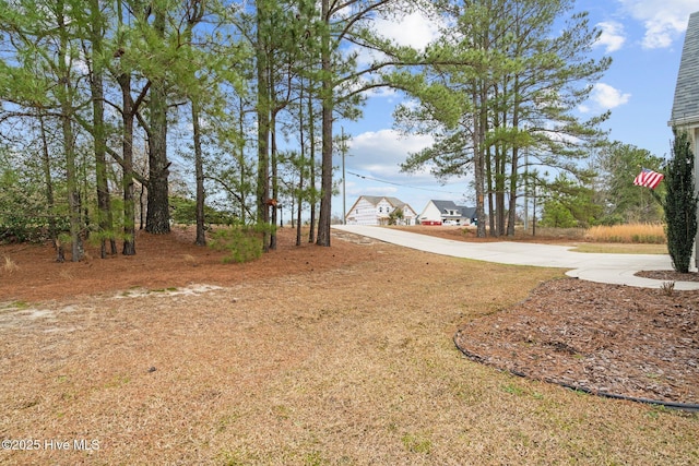 264 Bibey Rd, Carthage, NC 28327 - view of yard
