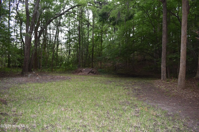 417 River Rd, Blounts Creek, NC 27814 - view of yard with a wooded view