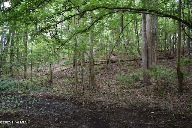 417 River Rd, Blounts Creek, NC 27814 - view of tree filled area